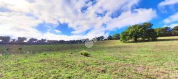 Terrain à Santa Giustina in Colle, Italy 27500m² No. 272093 6