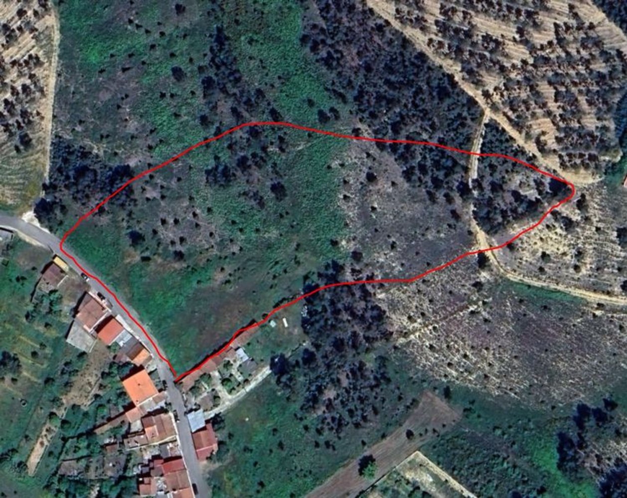  Land in Abrantes, Portugal No. 205019