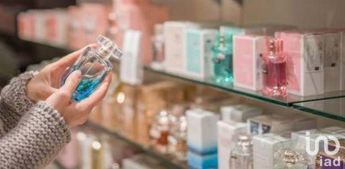  مصنع في Laval, France 40متر مربع رقم 19777