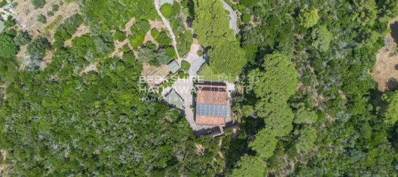 4 bedrooms Villa in Campo nell'Elba, Italy No. 302711 5