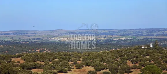 20 bedrooms Castles in Vila Vicosa, Portugal No. 144081 38