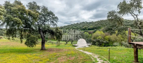 20 bedrooms Castles in Vila Vicosa, Portugal No. 144081 33