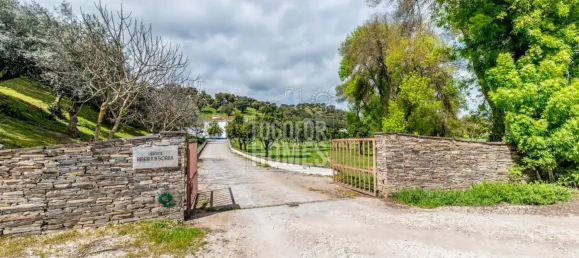 20 bedrooms Castles in Vila Vicosa, Portugal No. 144081 3