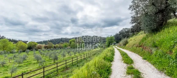 20 bedrooms Castles in Vila Vicosa, Portugal No. 144081 25