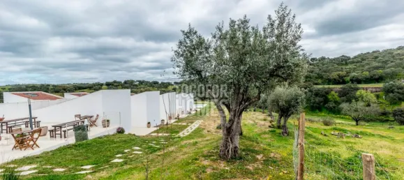 20 bedrooms Castles in Vila Vicosa, Portugal No. 144081 15