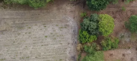  قطعة أرض في Listrac-Medoc, France 1997متر مربع رقم 352977 2