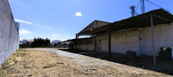 1517m² Land in Ferreira do Alentejo, Portugal No. 38938 13