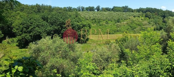 Apartamento de 4 dormitorios en Collesalvetti, Italy No. 116175 10