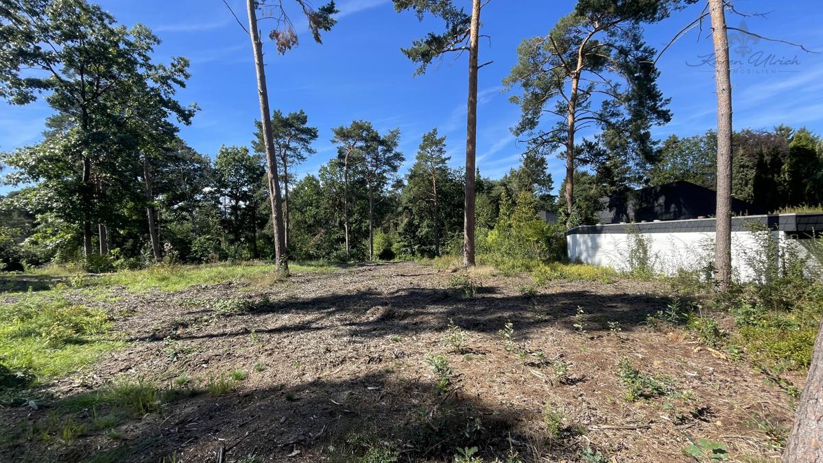  Land in Harburg, Germany No. 142307