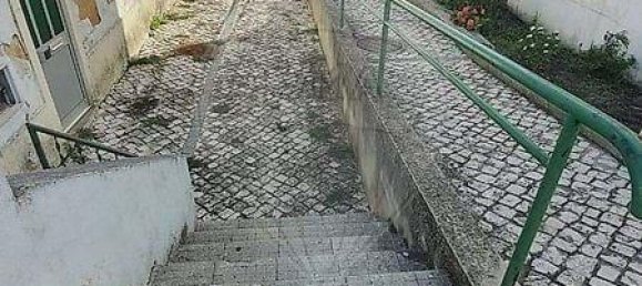 4 bedrooms Villa in Alcacer do Sal, Portugal No. 20053 2