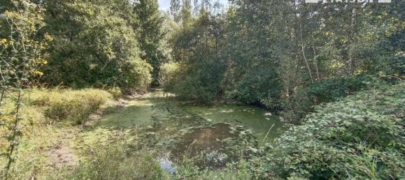 2 غرف نوم منزل في Gy-en-Sologne, France رقم 241279 18