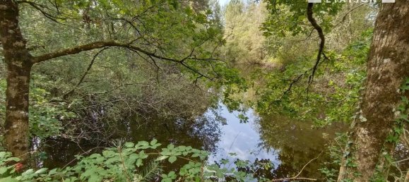 2 غرف نوم منزل في Gy-en-Sologne, France رقم 241279 17