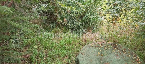 12 chambres Villa à Noto, Italy No. 68406 42