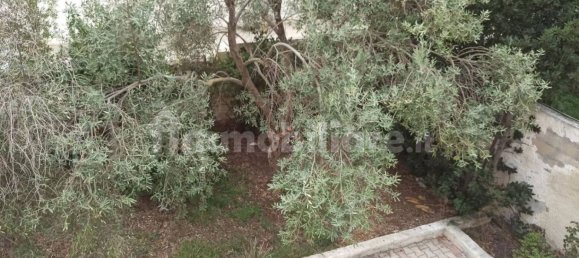 12 chambres Villa à Noto, Italy No. 68406 28