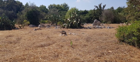 قطعة أرض في Tricase, Italy رقم 373371 14