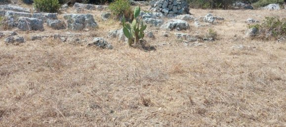 قطعة أرض في Tricase, Italy رقم 373371 17