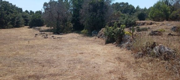 قطعة أرض في Tricase, Italy رقم 373371 18