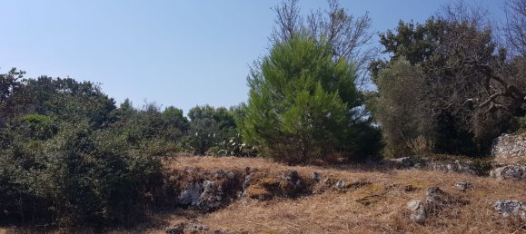 قطعة أرض في Tricase, Italy رقم 373371 4