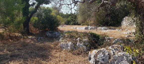 قطعة أرض في Tricase, Italy رقم 373371 13