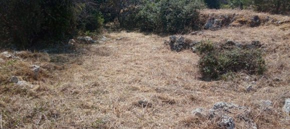 قطعة أرض في Tricase, Italy رقم 373371 15