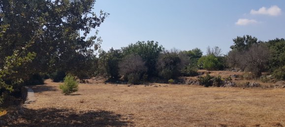 قطعة أرض في Tricase, Italy رقم 373371 11