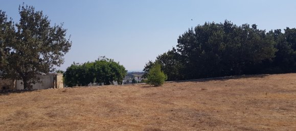 قطعة أرض في Tricase, Italy رقم 373371 7