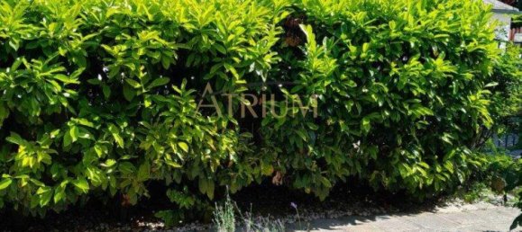 3 rooms Duplex in Vienna, Austria No. 228410 4