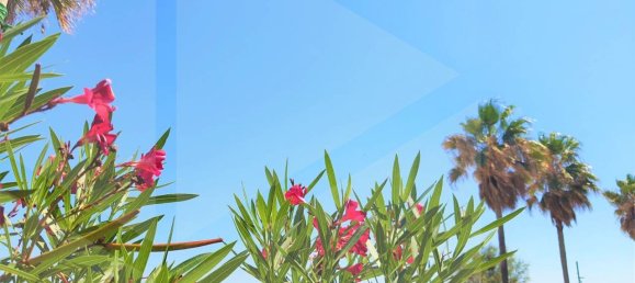 11-salle Maison à Montesilvano, Italy No. 22366 12