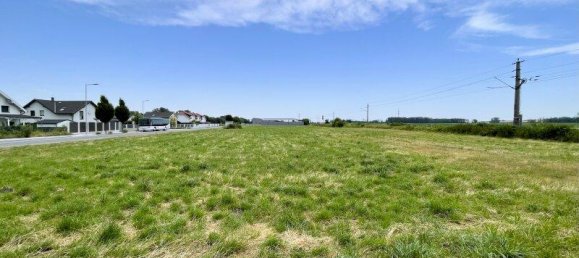 Land in Mitterndorf an der Fischa, Austria No. 203768 4