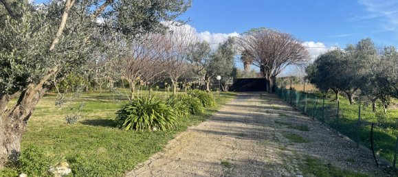 3-Zimmer Wohnung in Cerveteri, Italy, Nr. 344686 9