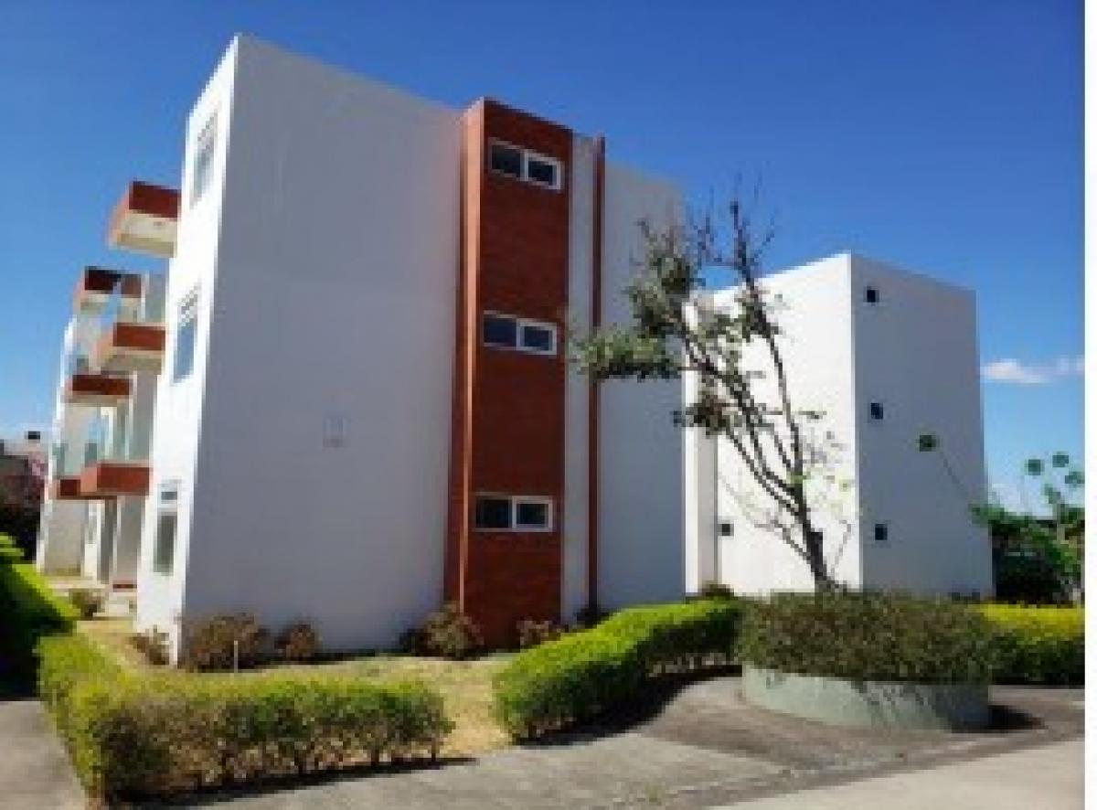 Дом с 2 спальнями в Алахуэла, Коста-Рика № 320