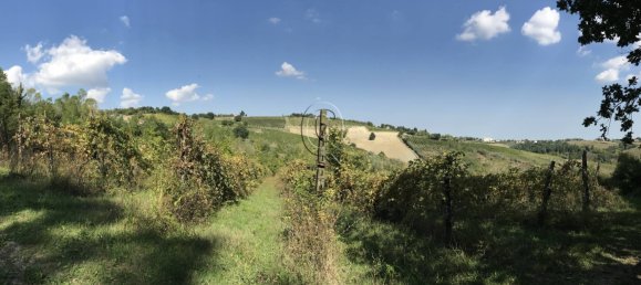 Land in Bertinoro, Italy No. 59251 6