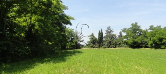  Land in Bertinoro, Italy No. 59251 3