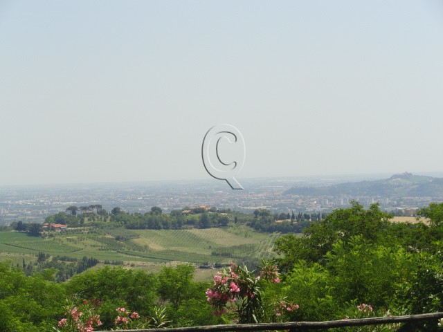  Land in Bertinoro, Italy No. 59251