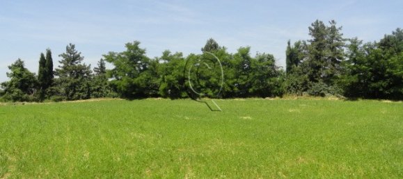  Land in Bertinoro, Italy No. 59251 2