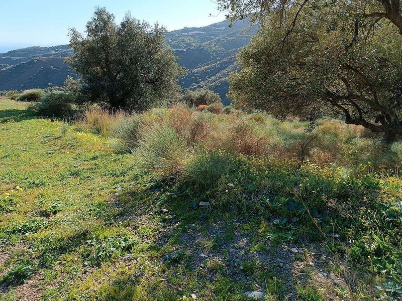 Terrain à Moclinejo, Spain 3000m² No. 226817