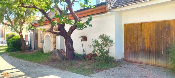 3-Zimmer Lagerhaus in Eisenstadt Umgebung, Austria, Nr. 249346 7