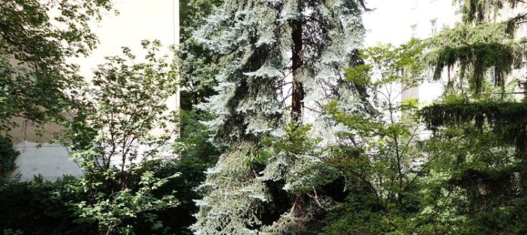 Apartamento de 2 divisões em Vienna, Austria N.º 184726 8