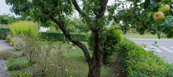 3 chambres Maison de ville à Reutlingen, Germany No. 84076 14