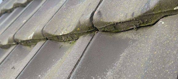 1 chambre Maison de ville à Duisburg, Germany No. 14452 35