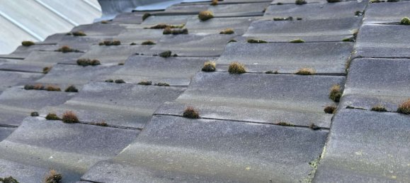 1 chambre Maison de ville à Duisburg, Germany No. 14452 31