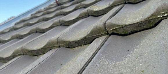 1 chambre Maison de ville à Duisburg, Germany No. 14452 36