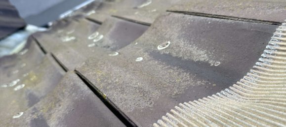 1 chambre Maison de ville à Duisburg, Germany No. 14452 34