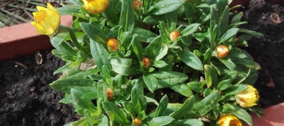 6-Zimmer Wohnung in Carrara, Italy, Nr. 43527 18