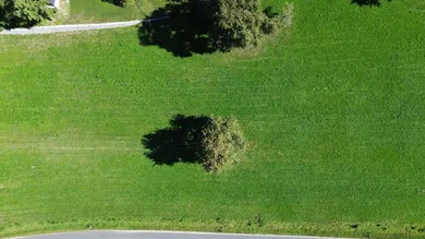  Land in Lower Austria, Austria No. 236834