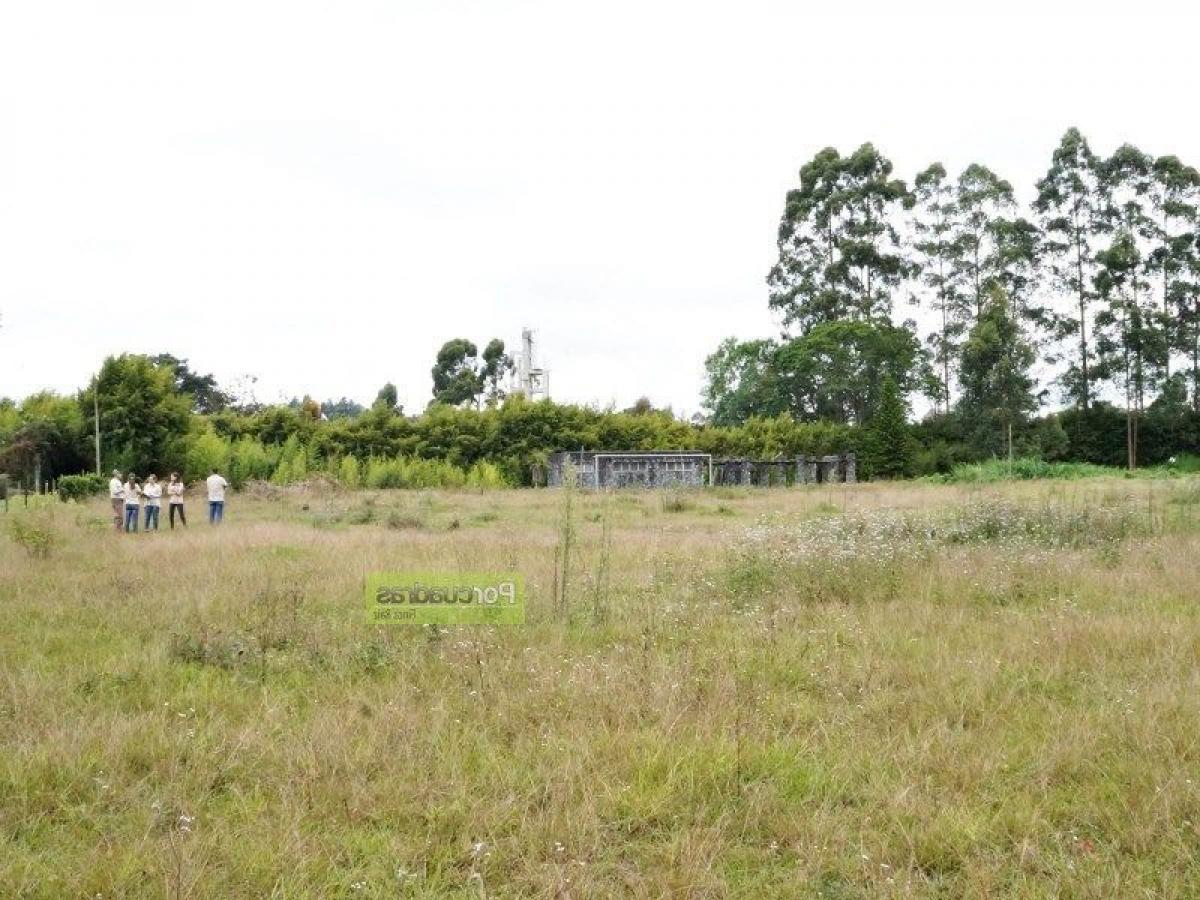 Terrain à Antioquia, Colombia No. 121