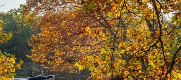 Студия в Шёнеберг, Германия № 264758 22