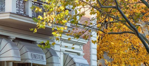 Студия в Шёнеберг, Германия № 264758 20