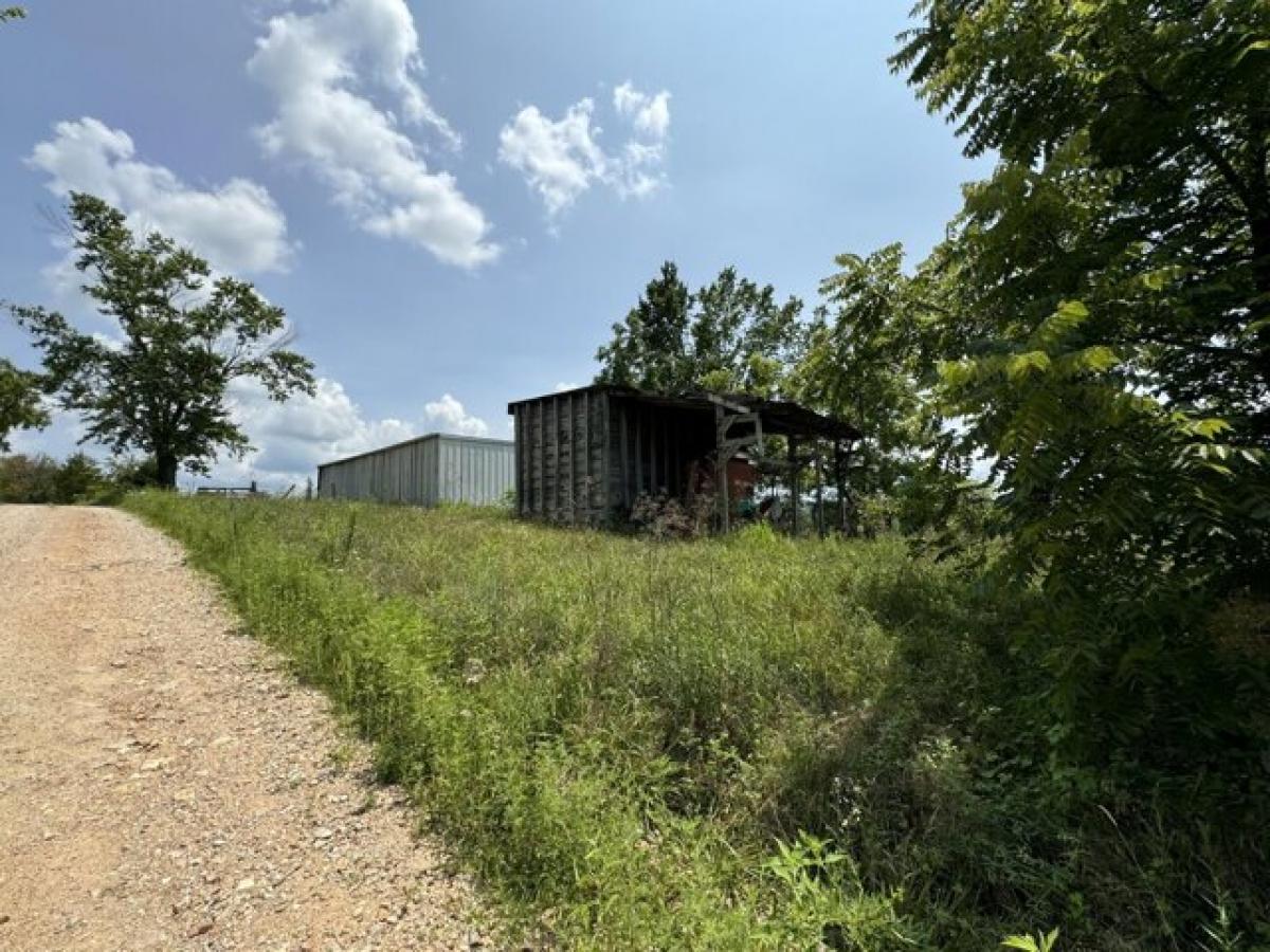  Land in Plato, USA No. 532571