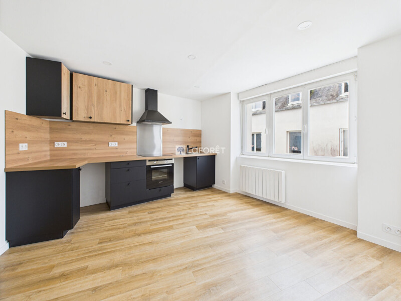 1 chambre Appartement à Finistère, France No. 331013